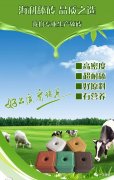 公司介绍